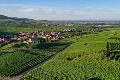 France, Haut-Rhin (68), Route des vins d'Alsace, Hunawihr, labellis