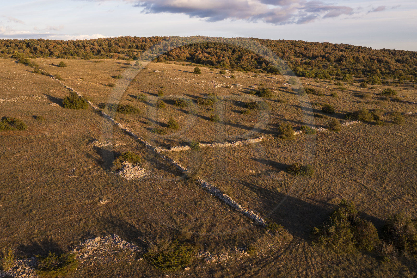 France, Aveyron (12), Causses et les Cévennes, paysage culturel de l'agro-pastoralisme méditerranéen, classés Patrimoine Mondial de l'UNESCO, La Cavalerie, le plateau du Larzac (vue aérienne)