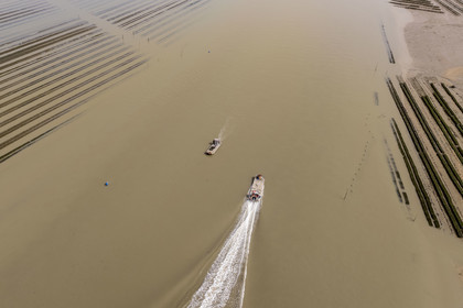 France, Charente Maritime, Oleron island, Dolus d’Oléron, Marennes-Oléron basin, chenal d’Arceau in the Pertuis d'Antioche