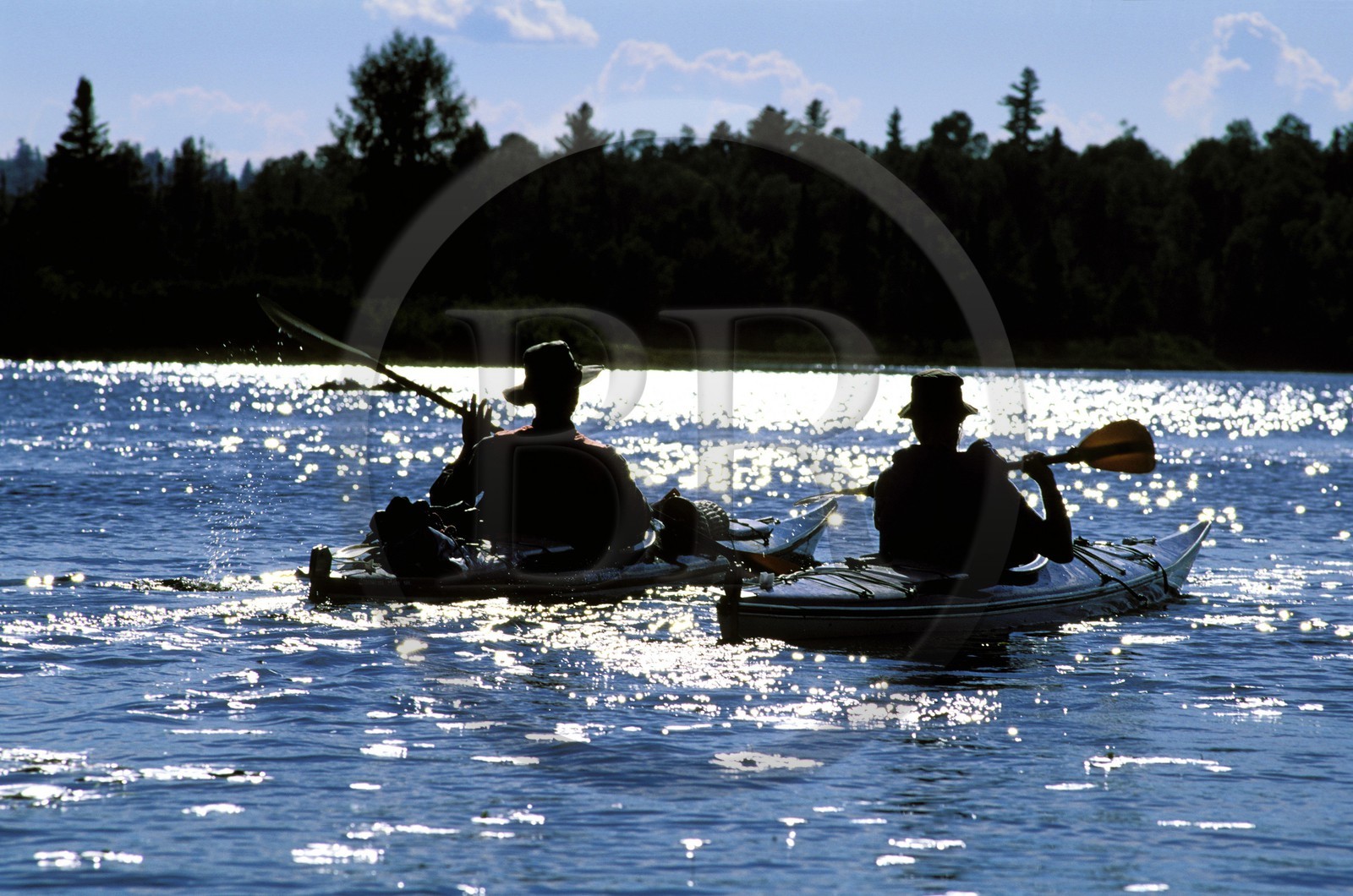 Canada, province de Québec, Réserve faunique de la Vérendrye, Rivière des Outaouais, Kayaks de mer