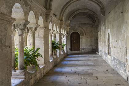 France, Bouches du Rhone, Regional Natural Park of the Alpilles, Saint Remy de Provence, Saint-Paul-de-Mausole monastery, where Van Gogh was interned in 1889-1890, the Romanesque cloister from the 11th and 12th centuries