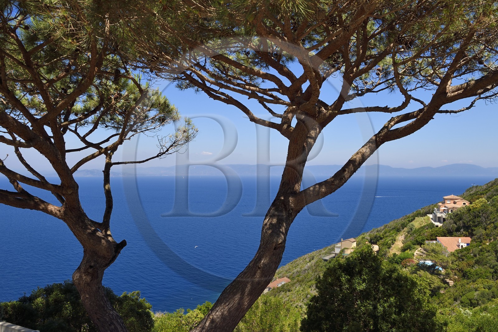 France, Var (83), Iles d'Hyères, Parc national de Port Cros, Ile du Levant, domaine naturiste d'Héliopolis, villas avec vue sur le continent