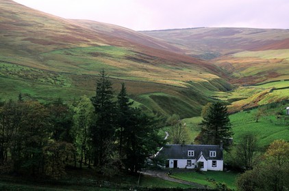 Royaume-Uni, Ecosse, région des Borders, ferme dans la lande