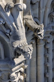 France, Paris (75), île de la Cité, la cathédrale Notre-Dame, les chimères observent la ville