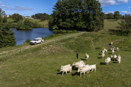 France, Nièvre (58), Parc naturel régional du Morvan, Millay, Ferme Les Prairies Gourmandes, Emmanuel Dumas éleveur de vaches Charolaises (vue aérienne)