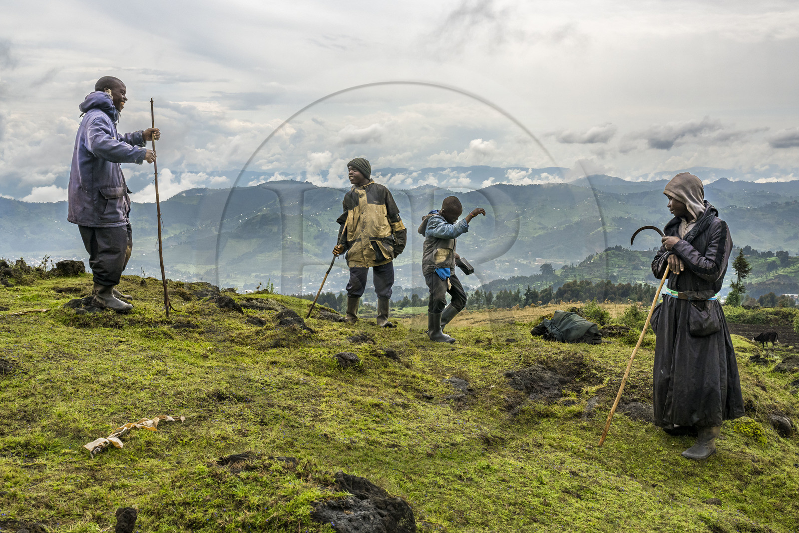Rwanda, Province du Nord, District de Musanze (Ruhengeri), jeunes bergers et vachers dansant sur la musique d'un poste radio sur les pentes du mont Karisimbi dans les montagnes des Virunga en bordure du Parc national des Volcans où vivent les gorilles
