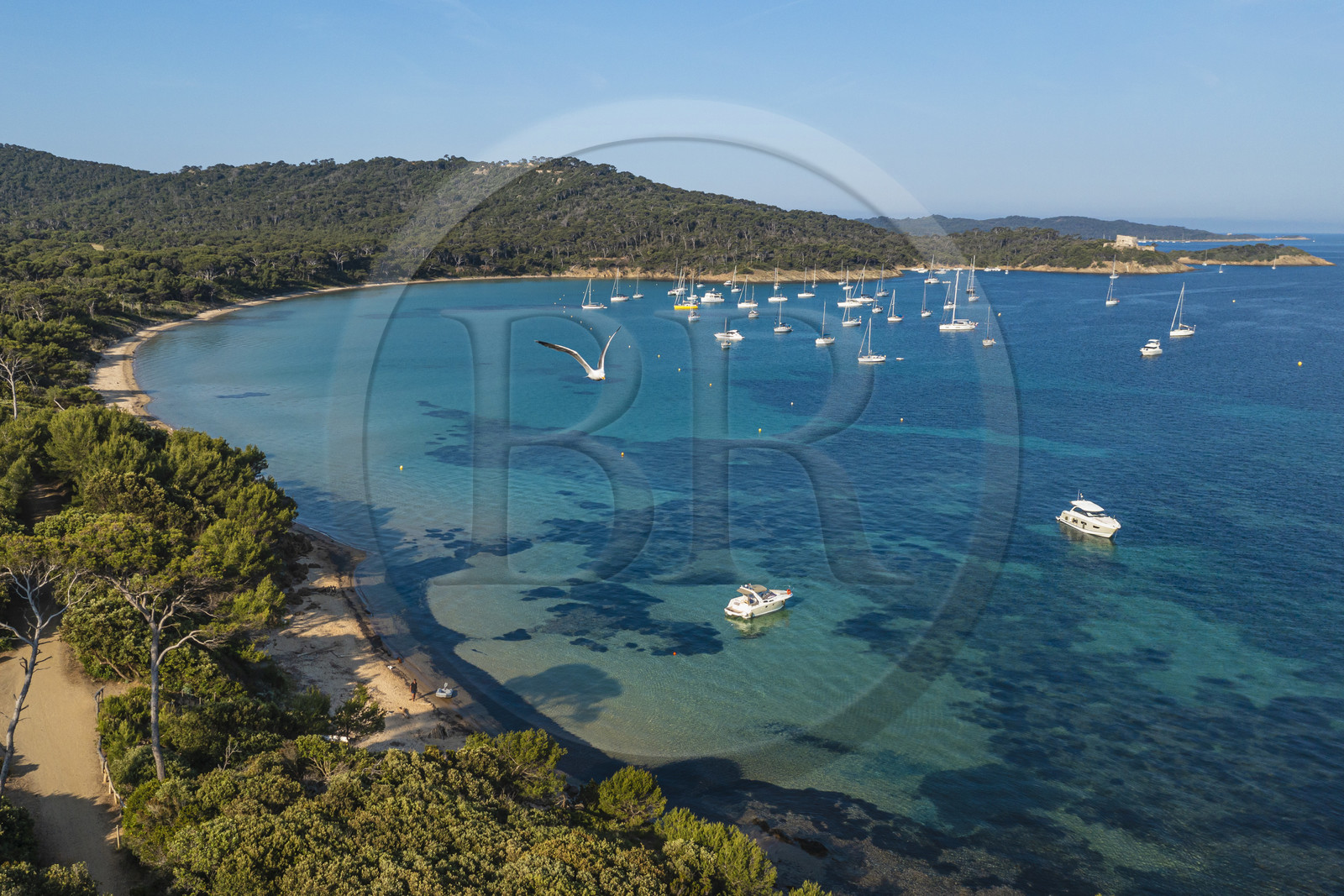 France, Var (83), Iles d'Hyères, parc national de Port Cros, Ile de Porquerolles, la plage Notre-Dame dans la Baie de l'Alycastre (vue aérienne)