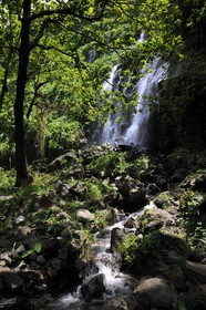 France, Reunion island (French overseas department), Anse des Cascades, south of Piton Sainte Rose, listed as World Heritage by UNESCO