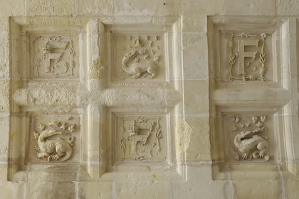 France, Loire et Cher, château de Chambord, détail d'un plafond avec le F et la salamandre de François 1er du deuxième étage