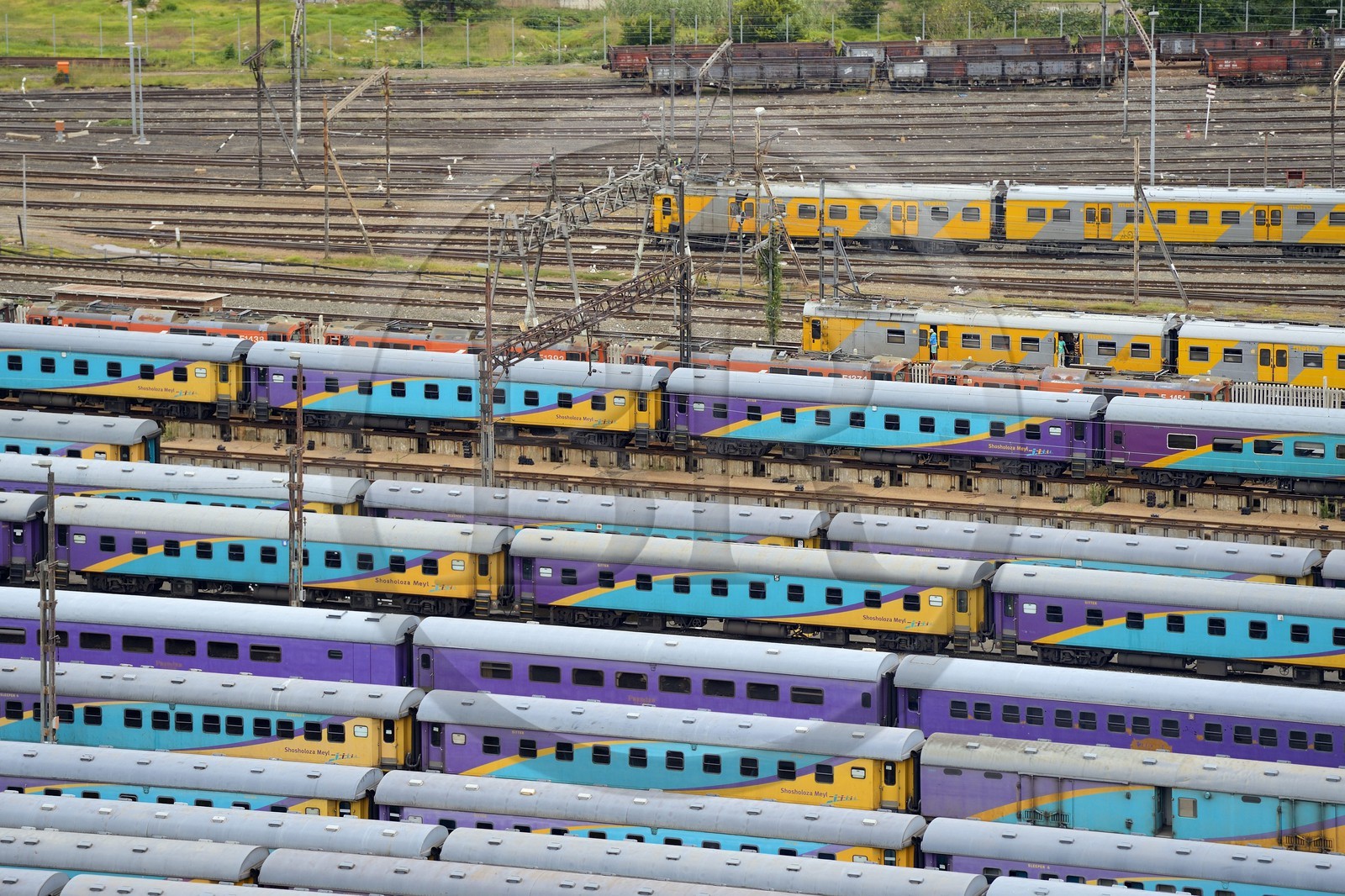 Afrique du Sud, province de Gauteng, Johannesburg, les wagons de trains colorés de Park Station
