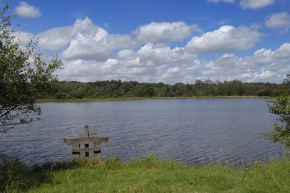 France, Loire et Cher, étang dans le domaine du château de Chambord