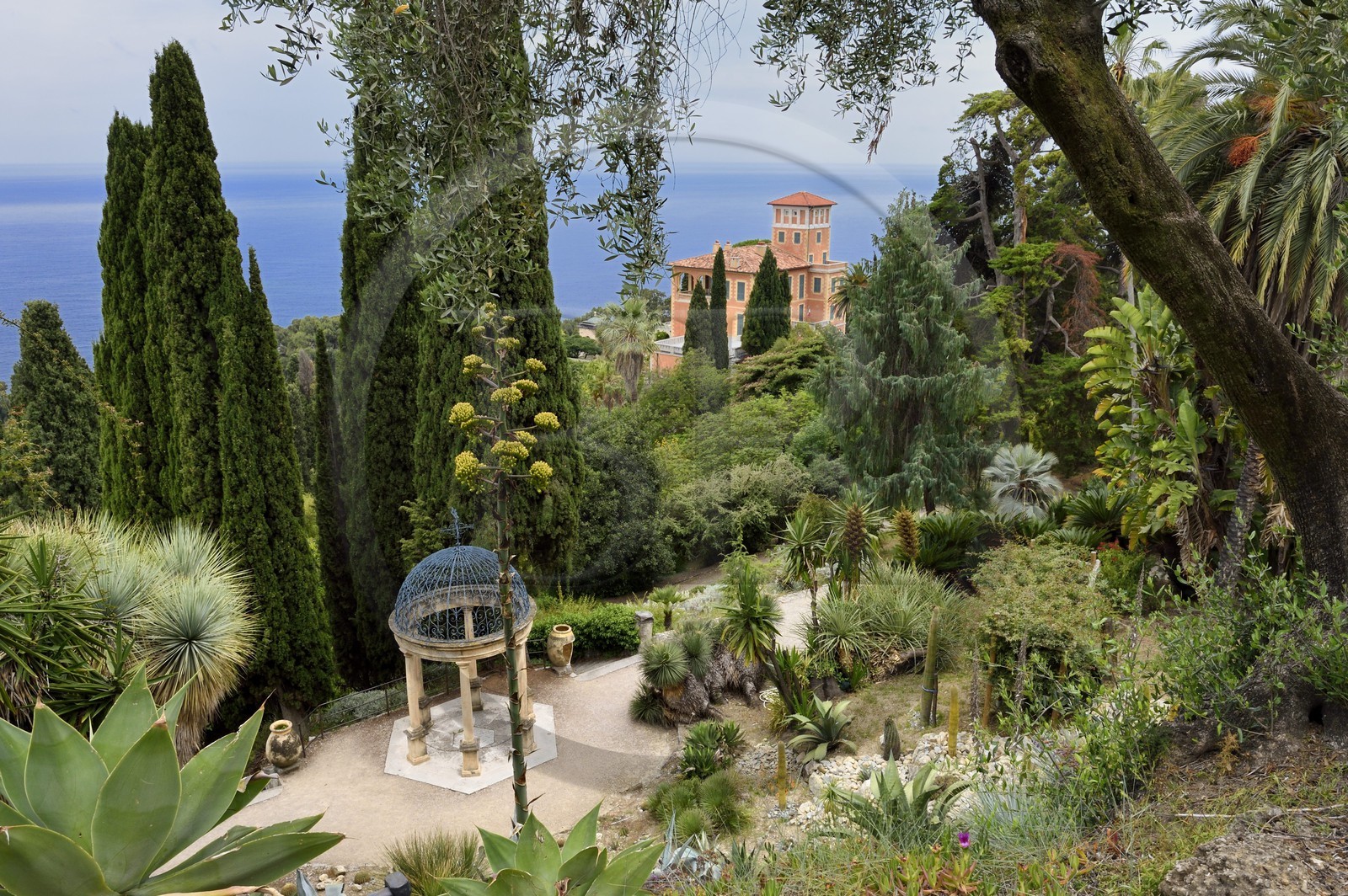 Italie, Vintimille, Cap Mortola près de Menton en France, le jardin botanique Hanbury (Giardini botanici Hanbury)