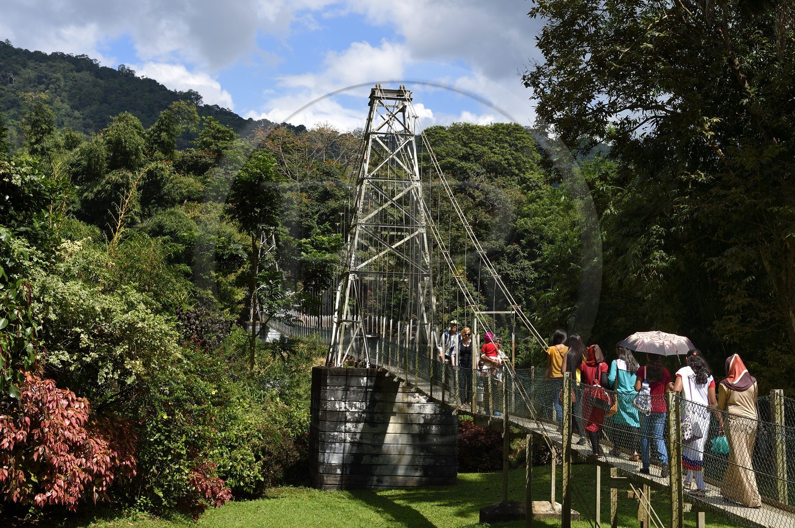 Sri Lanka, province du centre, Kandy, jardin botanique de Peradeniya, le pont suspendu sur la rivière Mahaweli