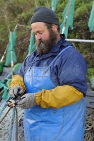 France, Seine-Maritime (76), Veules-les-Roses, pêcheur récupérant la pêche du jour des filets
