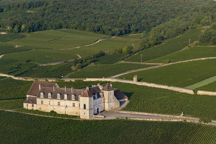 France, Côte-d'Or (21), Paysage culturel des climats de Bourgogne classés Patrimoine Mondial de l'UNESCO, Route des Grands Crus, vignoble de la Côte de Nuits, Vougeot, le Chateau du Clos de Vougeot entouré par le vignoble (vue aérienne)