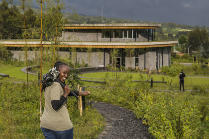 Rwanda, Province du Nord, District de Musanze (Ruhengeri), Kinigi, Campus Ellen DeGeneres du Dian Fossey Gorilla Fund, la zoologiste rwandaise Nadia Niyonizeye armée de son appareil photo équipé d'un laser pour étudier l’évolution de la croissance des gorilles sur le terrain