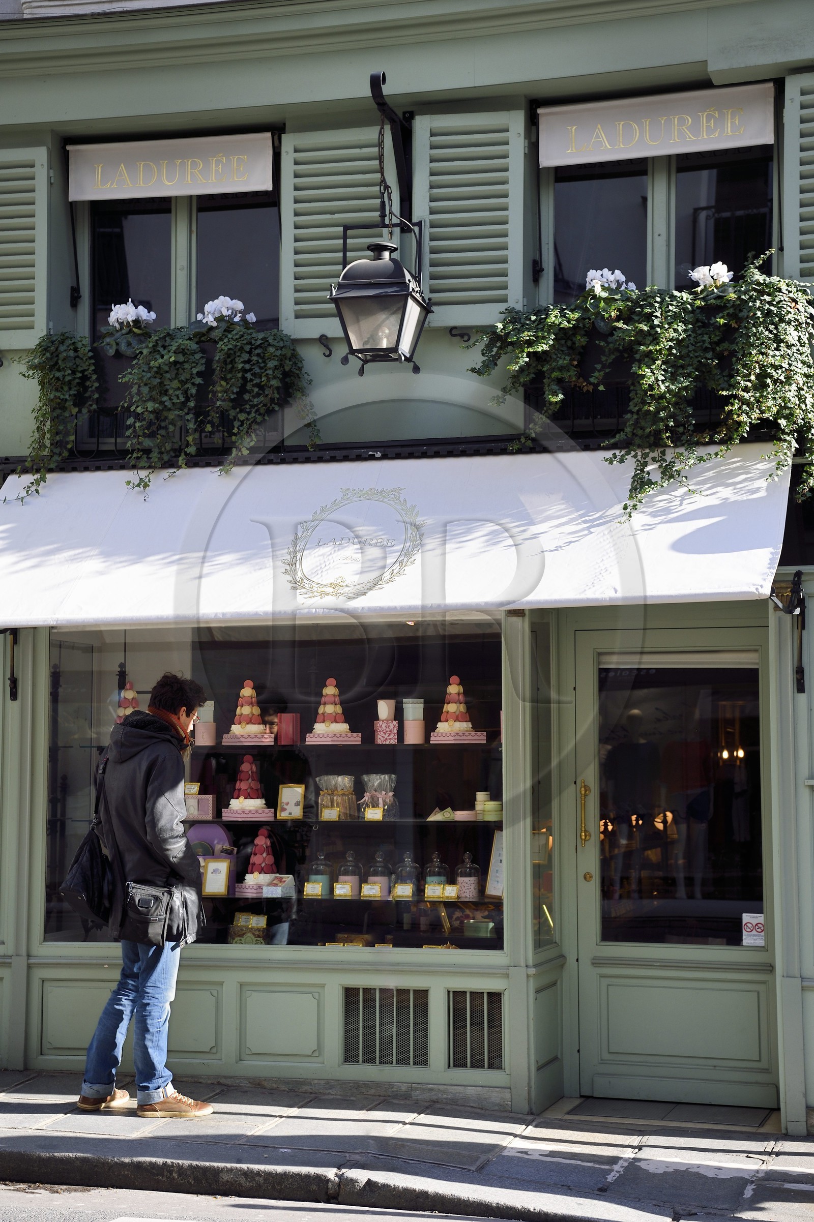 France, Paris (75), Patisserie Ladurée au 21 rue Bonaparte