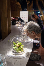 France, Cote d'Or, Climats terroirs of Burgundy listed as World Heritage by UNESCO, Beaune, the Cité des vins et climats de Bourgogne, sensory experiences