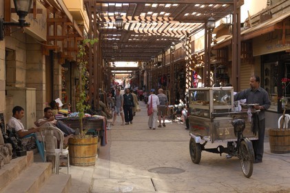 Egypte, Haute Egypte, vallée du Nil, Louxor, le nouveau souk