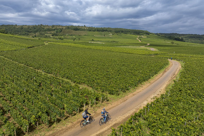 France, Cote d'Or, cultural Landscape of the climates of Burgundy listed as World Heritage by UNESCO, vineyard of the Côte de Nuits, cycle touring on the Route des Grands Crus (road of Vintage Wines) in Vosne-Romanée