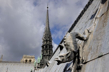 France, Paris (75), île de la Cité, la cathédrale Notre-Dame, gargouille sur le toit