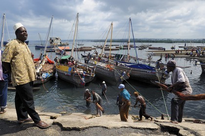 Tanzanie, archipel de Zanzibar, île de Unguja (Zanzibar), ville de Zanzibar, quartier Stone Town, classé Patrimoine Mondial de l' UNESCO, port des dhows (boutres traditionnels), déchargement de bois