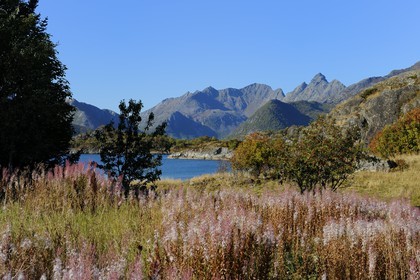 Norvège, Nordland, Iles Lofoten, Kabelvag - Storvagen, paysage champêtre