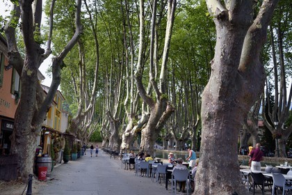 France, Vaucluse (84), Parc Naturel Regional du Luberon, Cucuron, labellisé Les Plus Beaux Villages de France, bassin de l'étang qui alimentait un moulin entouré de platannes centenaires