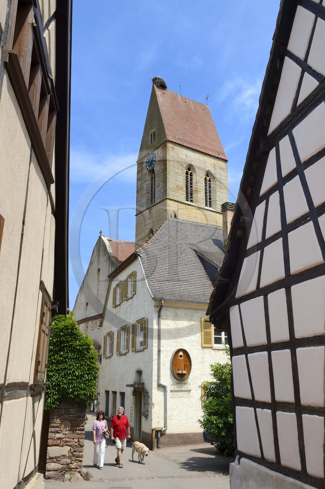 France, Haut-Rhin (68), Eguisheim, labellisé Les Plus Beaux Villages de France, église Saint-Pierre et Saint-Paul, cigogne au somet du clocher