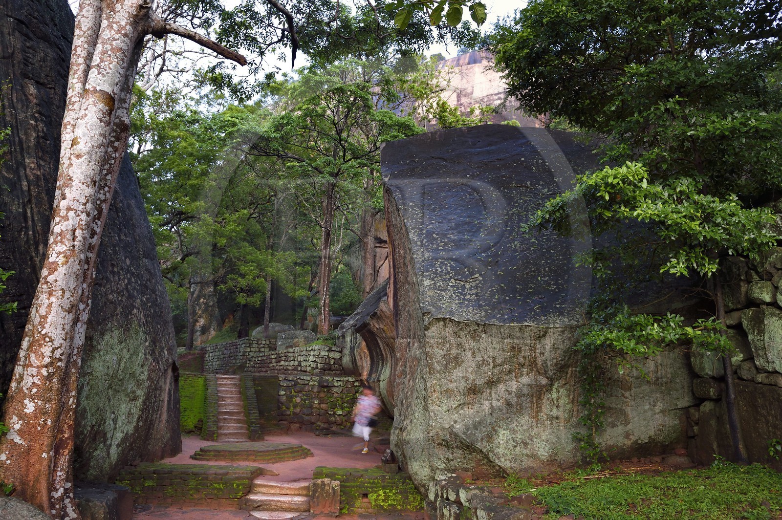 Sri Lanka, province centrale, district de Matale, Sigiriya, ville ancienne de Sigiriya classée patrimoine mondial de l'UNESCO, Rocher du Lion