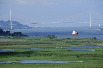 France, Eure, Marais (marsh) Vernier and the Normandy bridge, a cargo going upstream the Seine river