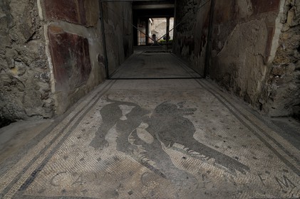 Italie, Campanie, Pompei, site archéologique classé Patrimoine Mondial de l'UNESCO, maison du Poète Tragique, la mosaïque Cave Canem (attention au chien)