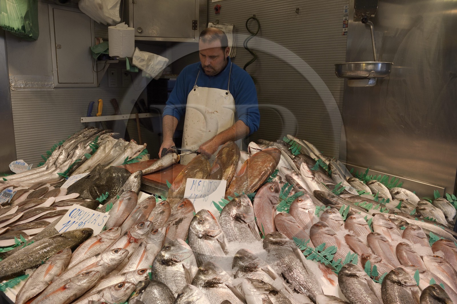 Espagne, Andalousie, Malaga, Mercado Central de Atarazanas, le marché aux poissons dans le marché central