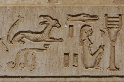 Egypte, Haute Egypte, vallée du Nil, temple de Kom Ombo dédié au dieu Sobek à tête de crocodile, hiéroglyphes