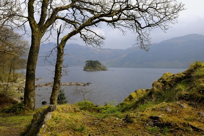 Royaume-Uni, Ecosse, région des Highlands, le Loch Lomond