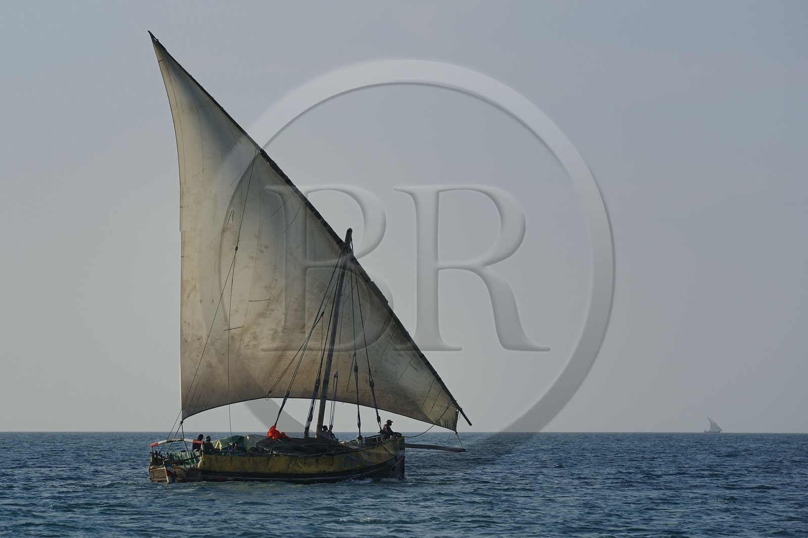 Tanzanie, archipel de Zanzibar, île de Unguja (Zanzibar), côte ouest, un dhow (boutre traditionnel)