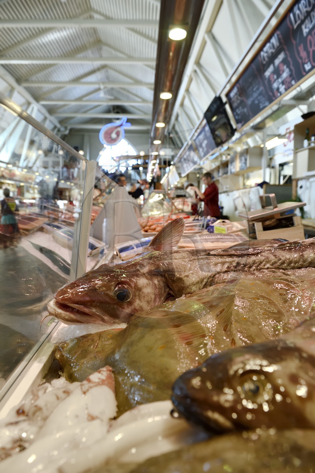 Sweden, Västra Götaland, Göteborg (Gothenburg), the Fish Church Feskekörka