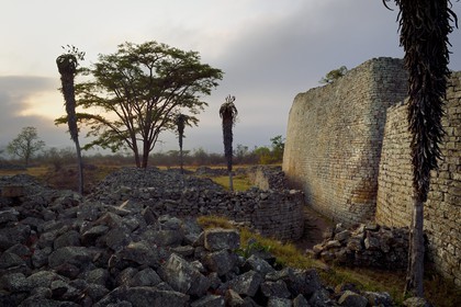 Zimbabwe, Masvingo province, the ruins of the archaeological site of Great Zimbabwe, UNESCO World Heritage List, 10th-15th century, exterior wall north-east entrance of the Great Enclosure and Aloe excelsa (also known as the Zimbabwe Aloe)
