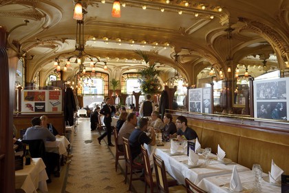 France, Meurthe-et-Moselle (54), Nancy, brasserie Flo Excelsior de 1910, Art Nouveau