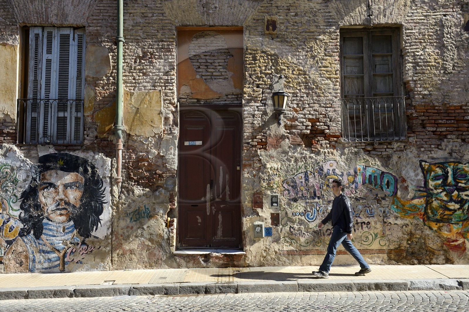 Argentine, Buenos Aires, quartier Saint Telmo, pasaje de San Lorenzo, peintures murales avec Che Guevara