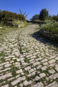 France, Herault, near Lunel, Oppidum of Ambrussum on the Via Domitia, paved streets worn out by the passage of wagons