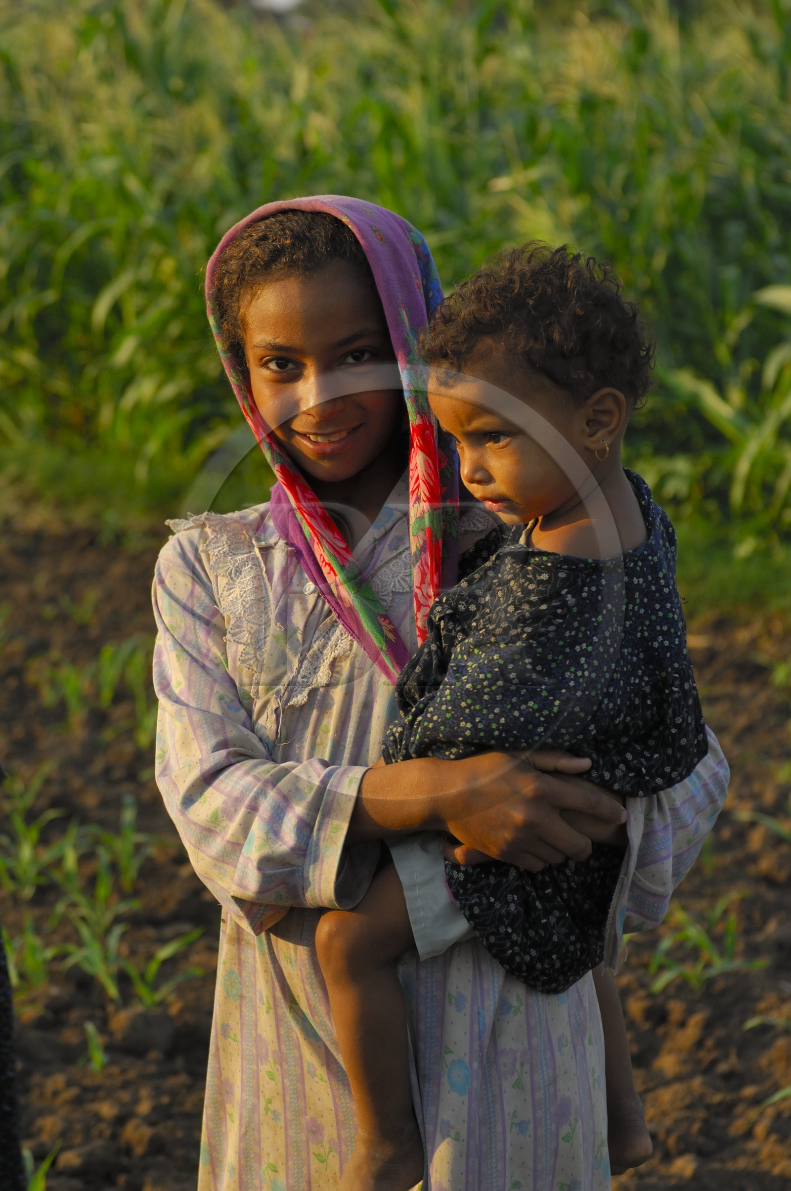 Egypte, Haute Egypte, vallée du Nil, Louxor, la rive ouest, enfants dans un champ