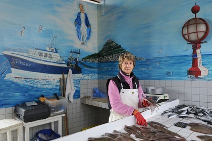 France, Seine-Maritime (76), Le Havre, port de pêche, marché aux poissons pratiquant la vente directe