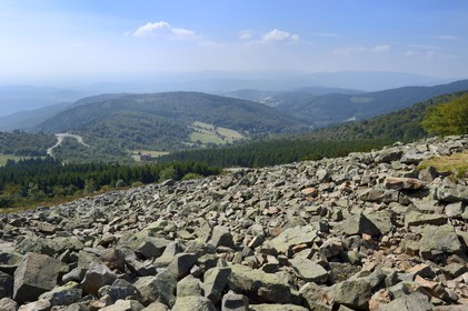 France, Loire, Parc Naturel Regional du Pilat (Natural Regional Park of Pilat), chirat (local name given to the rock blocks slide that cover the slopes in talus forms) at the Cret de l'Oeillon (Oeillon crest) in the Pilat massif
