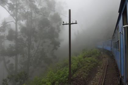 Sri Lanka, Province d'Uva, trajet en train dans la région montagneuse de la culture du thé entre Hatton et Badulla, en bordure de la forêt de nuages du parc national de Horton Plains