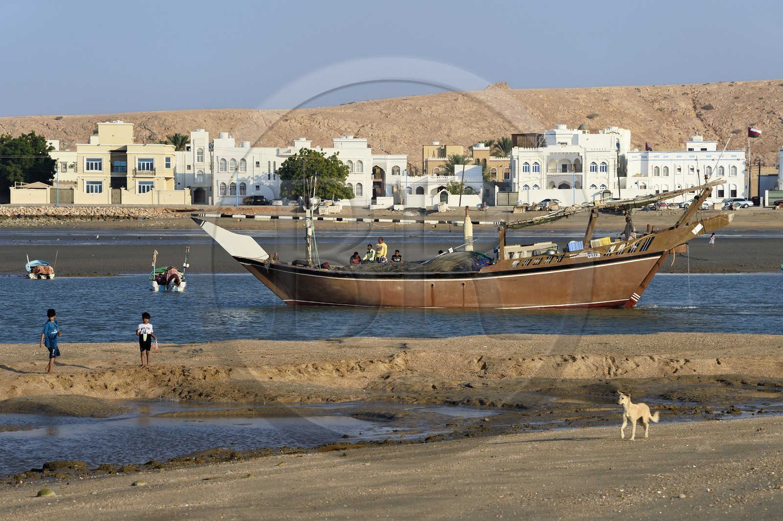 Sultanat d'Oman, gouvernorat de Ash Sharqiyah, ville et port de Sour, le vieux quartier de pêcheurs de Al Ayjah, pecheurs sortant du port sur leur boutre