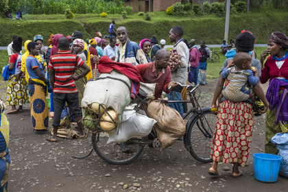 Rwanda, Province du Nord, District de Musanze (Ruhengeri), jour de marché à Muryabazira sur la Route Nationale 4 entre Kigali et Ruhengori, transport de gros sacs sur une bicyclette, les bicyclettes sont le principal moyen de transport local