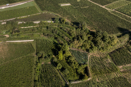 France, Cote d'Or, cultural Landscape of the climates of Burgundy listed as World Heritage by UNESCO, Route des Grands Crus (road of Vintage Wines), vineyard of the Côte de Nuits at Vougeot