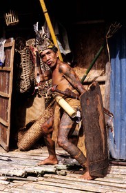 Malaysia, Borneo island, Sarawak, Dayak warrior with tattoos from the Iban tribe with spear, parang (saber) and shield