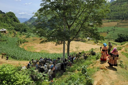 Vietnam, Lao Cai province, Bac Ha district, Can Cau market, farmers from the Flower Hmong minority, the buffaloes market